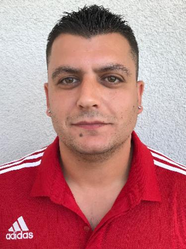Carlos Mendes Costa
