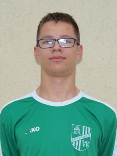 Fabian Hartwig