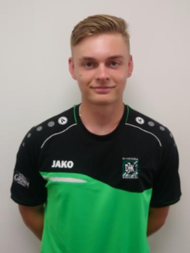 Viktor Schlei