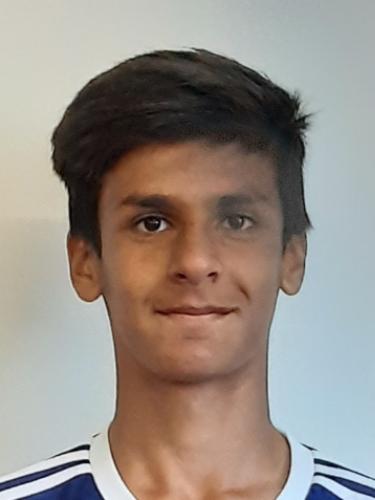 Yamin Majdi